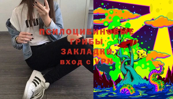 PSILOCYBIN Абдулино