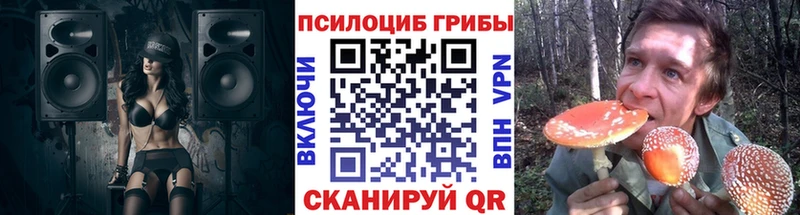 Псилоцибиновые грибы Psilocybine cubensis  площадка формула  Кирсанов 