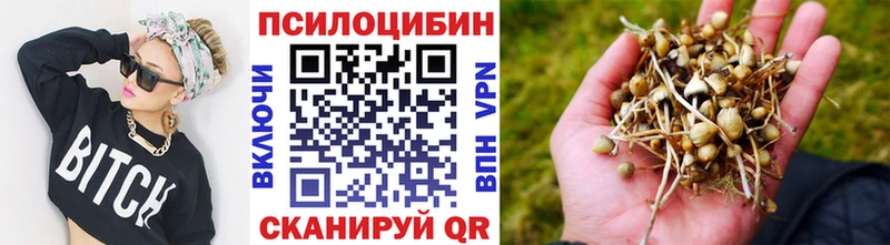 Галлюциногенные грибы ЛСД Кирсанов